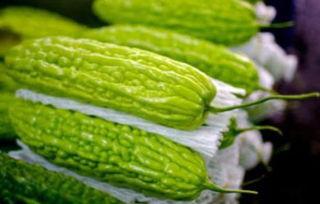 孕妇吃吊瓜的害处,孕妇食用吊瓜的潜在风险与注意事项