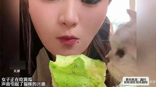 岑岑吃瓜声音,岑岑吃瓜声中的娱乐圈风云录