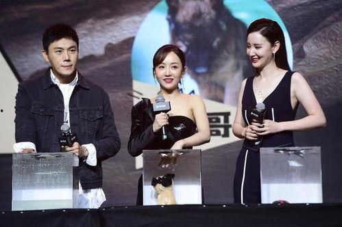 吃瓜明星视频合集