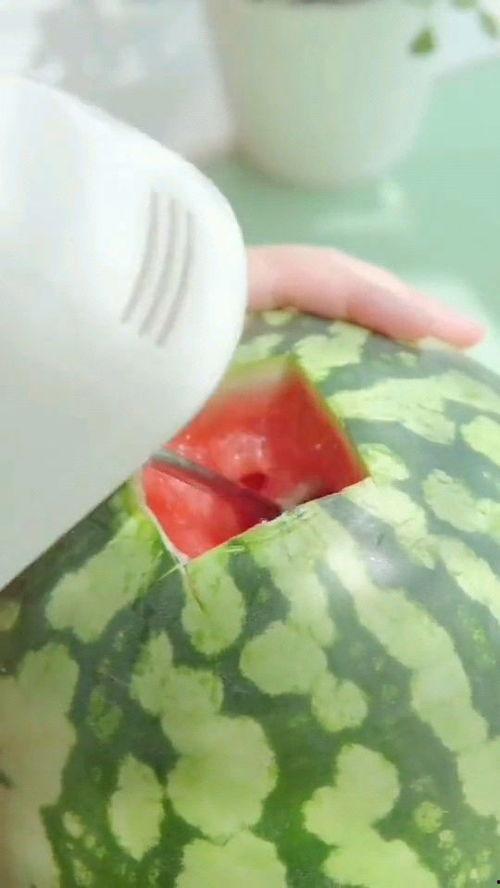 灵魂吃瓜的图片,揭秘网络热图背后的趣味与思考