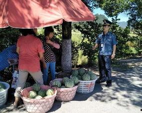 凉城吃瓜群众事迹,见证时代变迁的民间观察者