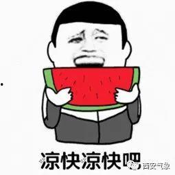 吃瓜不信瓜等官宣吐舌,揭秘“吃瓜不信瓜”背后的真相