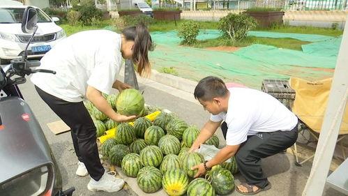 吃瓜20元,揭秘吃瓜背后的20元真相