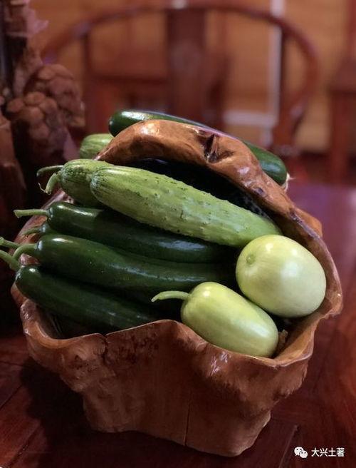 近期热门网红吃瓜,揭秘近期热门事件背后的真相