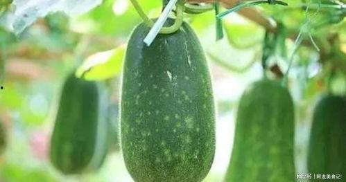 吃瓜什么7,揭秘“吃瓜群众”背后的七种心理现象