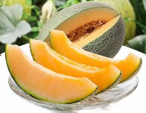 瓜州去哪里吃籽瓜,探寻籽瓜美食的味蕾之旅