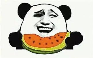 瓜哥吃瓜大表哥抓鱼,趣味生活瞬间捕捉