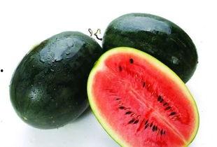 15人团建吃瓜,共享欢乐，瓜果飘香时光”