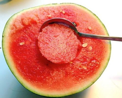 团建15人吃瓜,15人共享瓜果盛宴