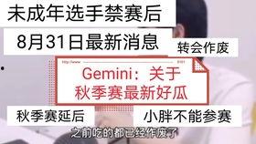 gemini吃瓜全集,揭秘娱乐圈幕后风云