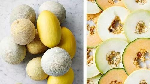 最喜欢吃的瓜,探寻我最爱的瓜果美味之旅