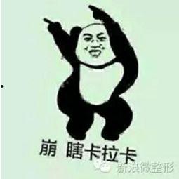 你很喜欢吃瓜,揭秘我最爱的那些美味瓜果故事