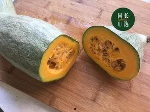 梨瓜可以连皮吃吗,健康美味两不误