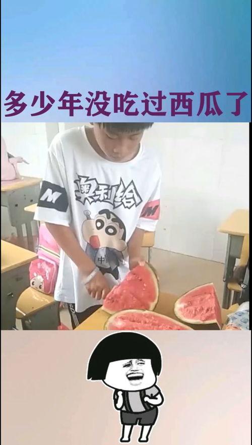 吃瓜学习交流