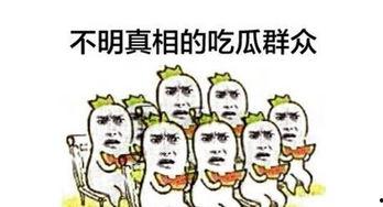 吃瓜学习交流