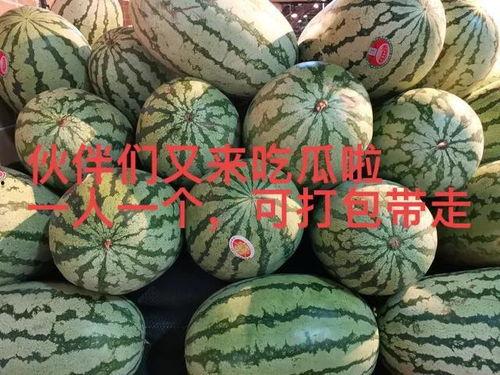 85大花吃瓜,揭秘娱乐圈的“吃瓜”风云