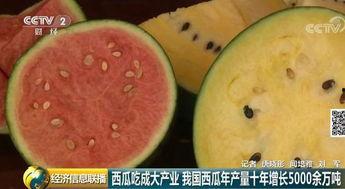 吃瓜群众cp中国,中国网络文化的独特现象
