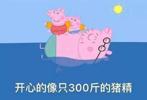 小猪吃瓜没吃饱,探索美食之旅