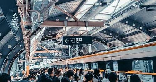 大哥火车上吃瓜