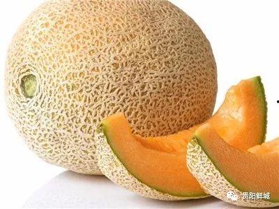 帐篷吃哈密瓜