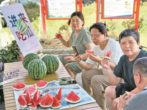 宁波北仑吃瓜图