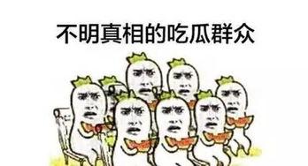 吃瓜群众夏天