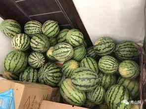 长垣吃瓜视频在线观看,带你领略当地特色美食文化