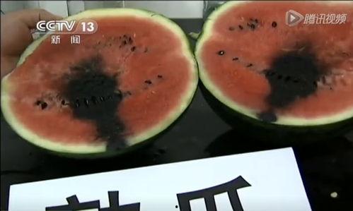 长垣吃瓜视频在线观看,带你领略当地特色美食文化