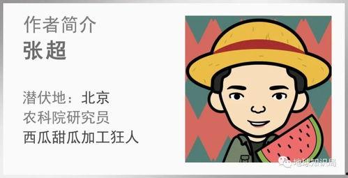 吃瓜大国
