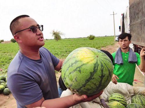 吃瓜瓦罗兰,揭秘神秘大陆的奇幻美食之旅