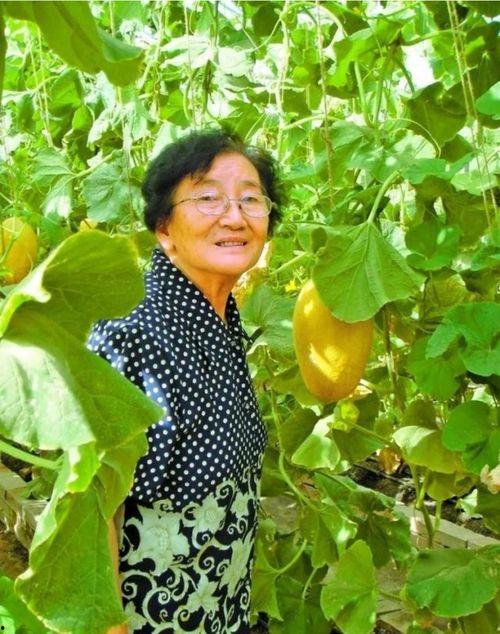 宫教授吃瓜,一场别开生面的吃瓜盛宴